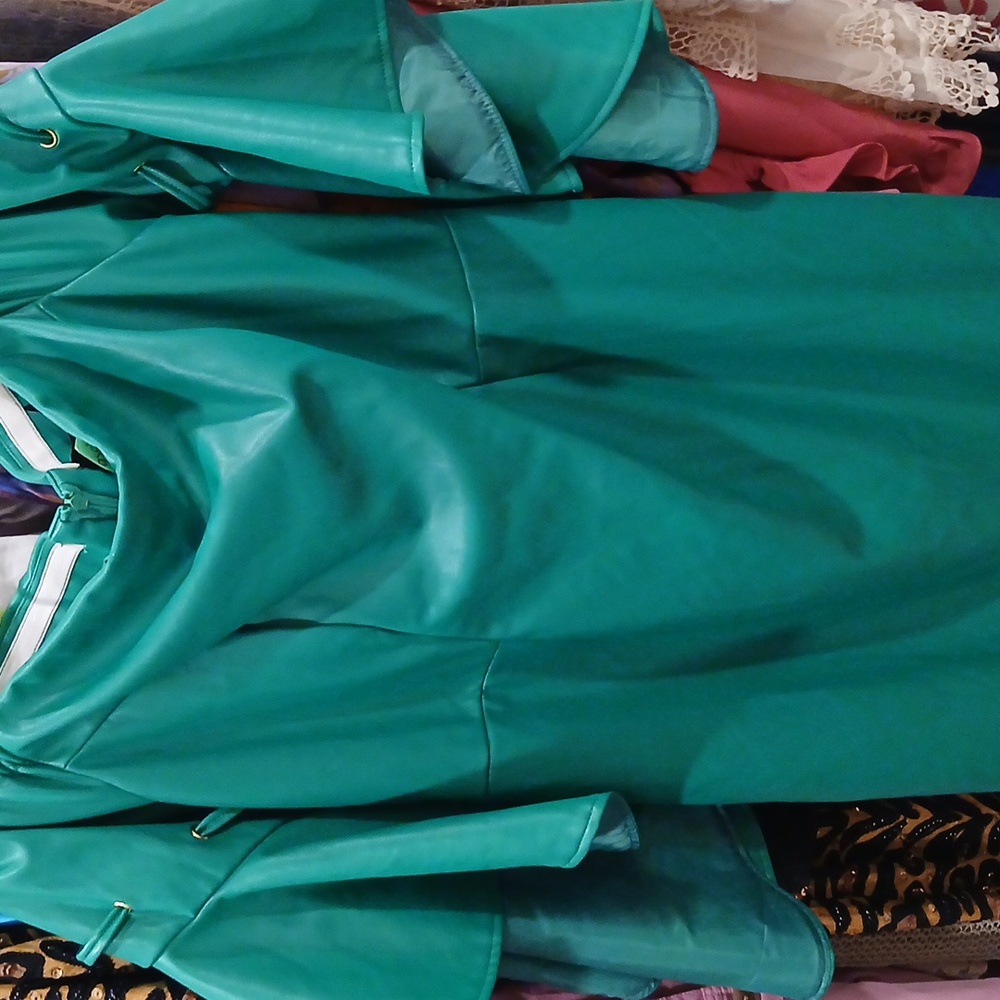 Ashley Stewart brand new dress